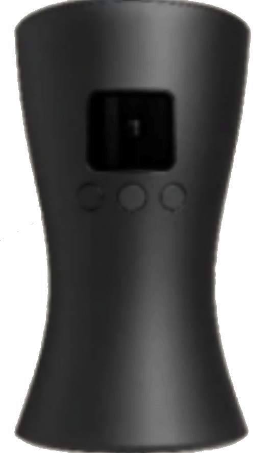 Main Body
